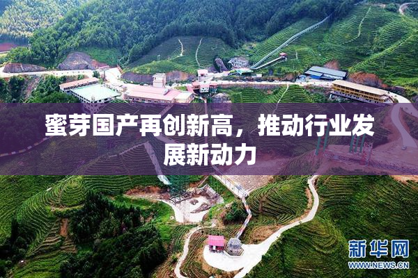 蜜芽国产再创新高，推动行业发展新动力