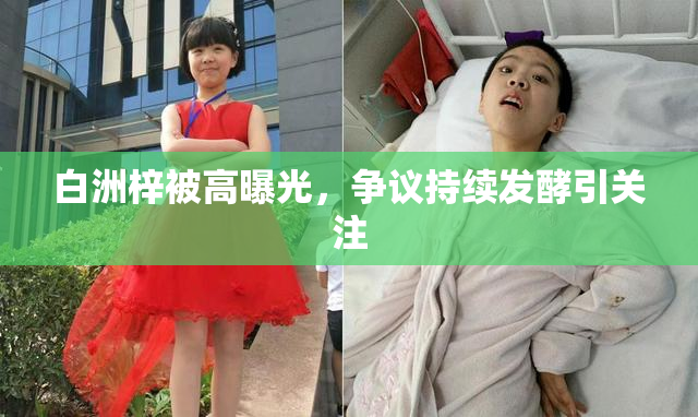 白洲梓被高曝光，争议持续发酵引关注