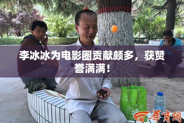 李冰冰为电影圈贡献颇多，获赞誉满满！