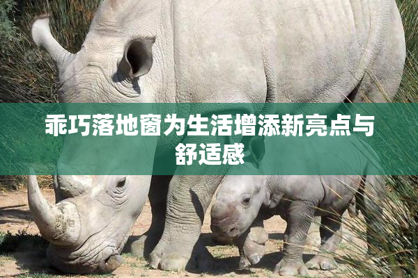 乖巧落地窗为生活增添新亮点与舒适感