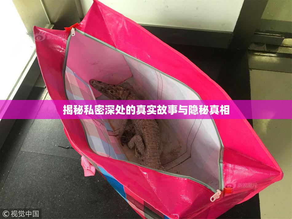 揭秘私密深处的真实故事与隐秘真相