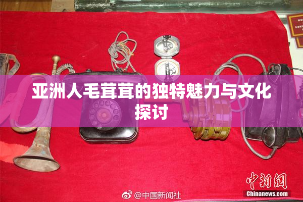 亚洲人毛茸茸的独特魅力与文化探讨