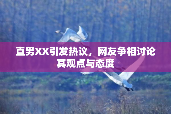 直男XX引发热议，网友争相讨论其观点与态度