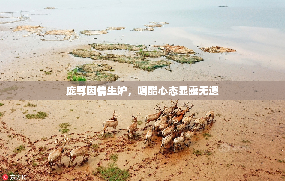 庞尊因情生妒，喝醋心态显露无遗