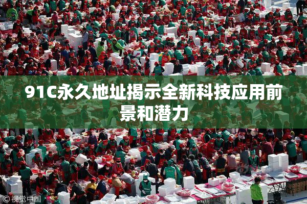 91C永久地址揭示全新科技应用前景和潜力