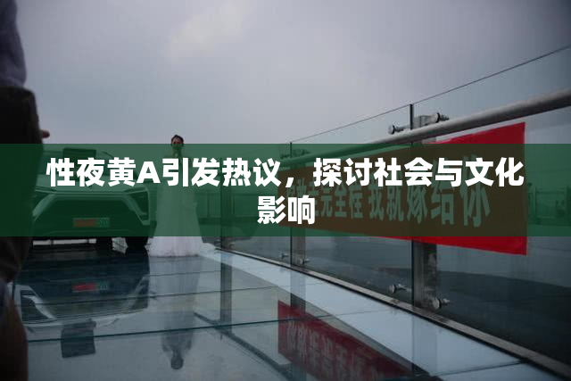性夜黄A引发热议，探讨社会与文化影响