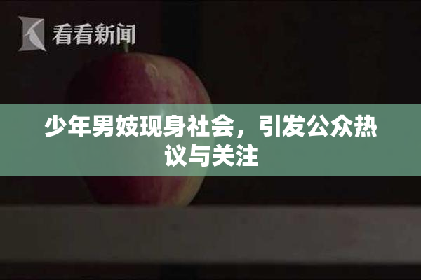 少年男妓现身社会，引发公众热议与关注