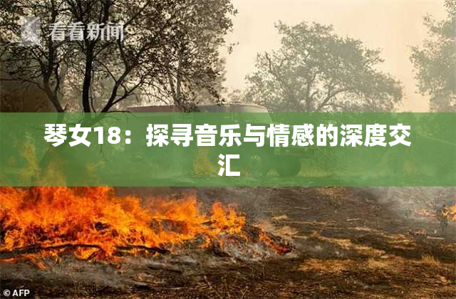 琴女18：探寻音乐与情感的深度交汇