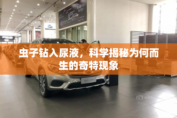 虫子钻入尿液，科学揭秘为何而生的奇特现象