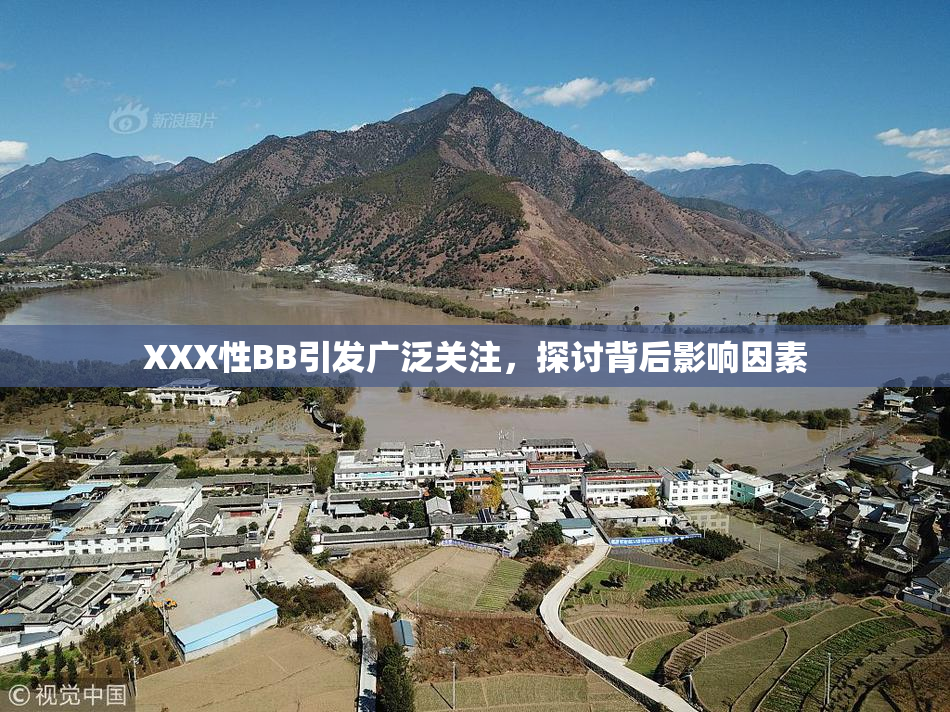 XXX性BB引发广泛关注，探讨背后影响因素