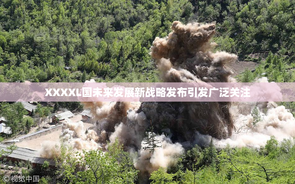XXXXL国未来发展新战略发布引发广泛关注