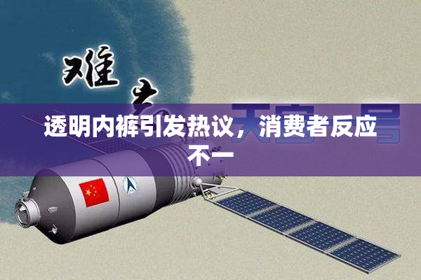 透明内裤引发热议，消费者反应不一