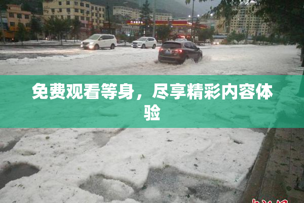 免费观看等身，尽享精彩内容体验