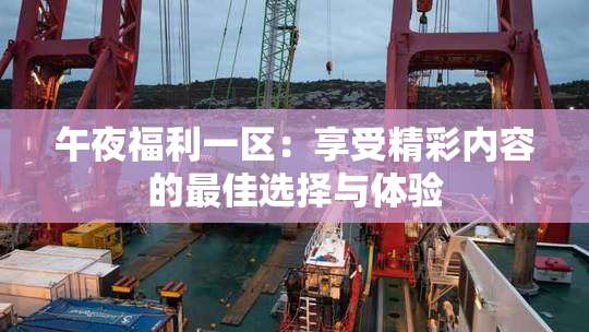 午夜福利一区：享受精彩内容的最佳选择与体验