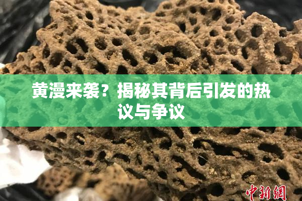 黄漫来袭？揭秘其背后引发的热议与争议
