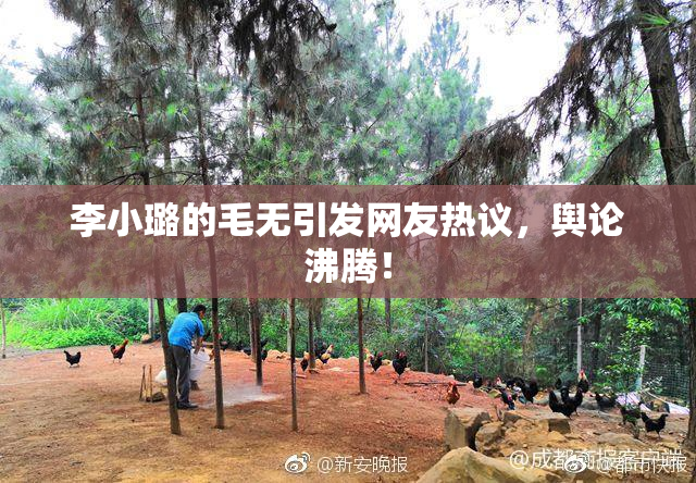 李小璐的毛无引发网友热议，舆论沸腾！