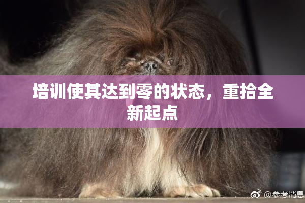 培训使其达到零的状态，重拾全新起点