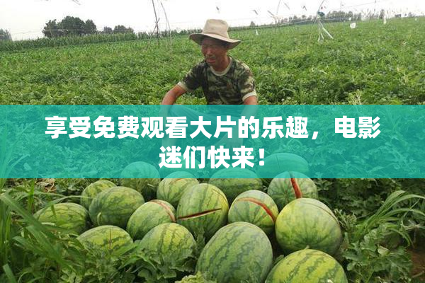享受免费观看大片的乐趣，电影迷们快来！