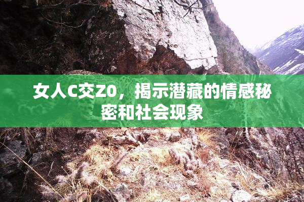 女人C交Z0，揭示潜藏的情感秘密和社会现象