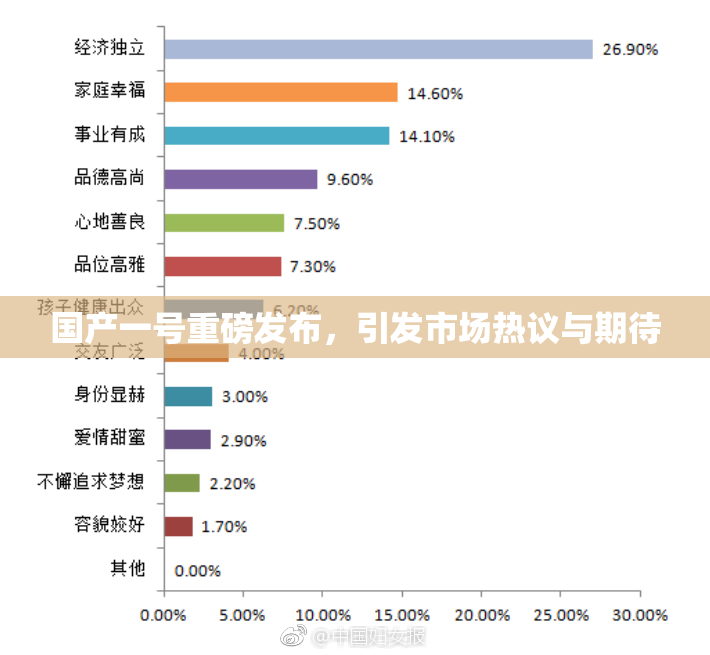 国产一号重磅发布，引发市场热议与期待