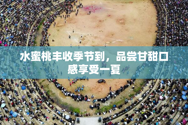 水蜜桃丰收季节到，品尝甘甜口感享受一夏