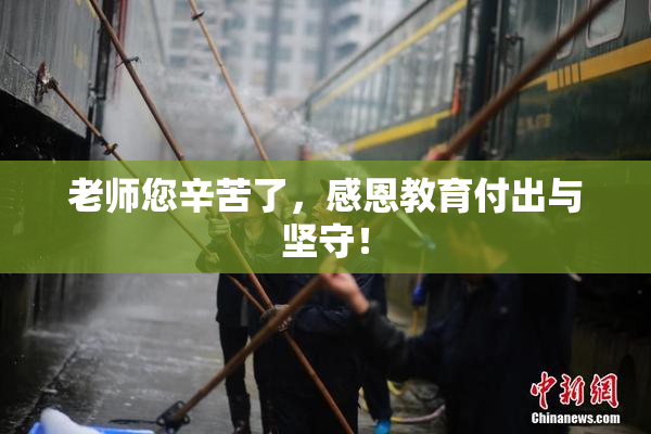 老师您辛苦了，感恩教育付出与坚守！