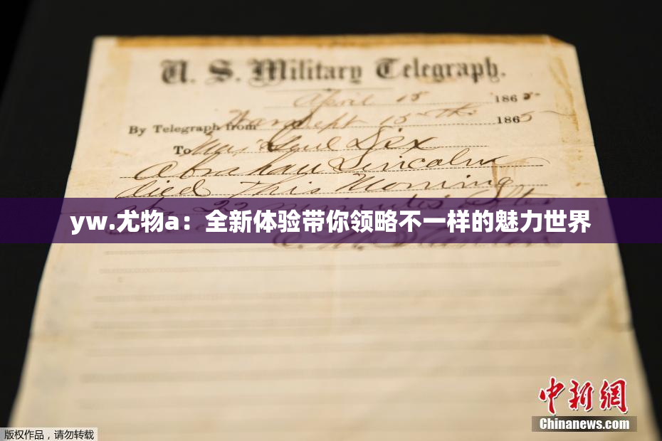 yw.尤物a：全新体验带你领略不一样的魅力世界