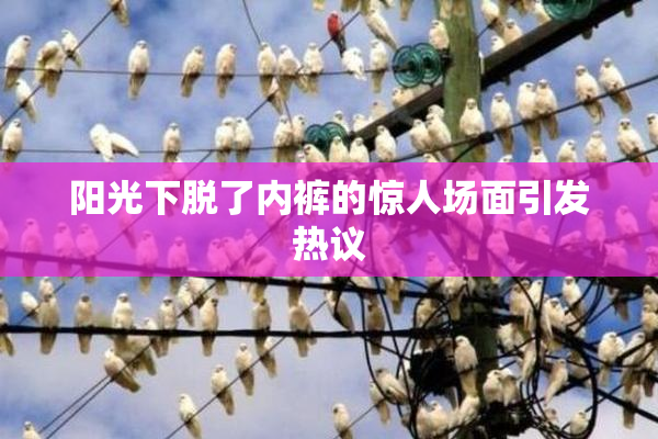 阳光下脱了内裤的惊人场面引发热议