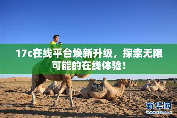 17c在线平台焕新升级，探索无限可能的在线体验！