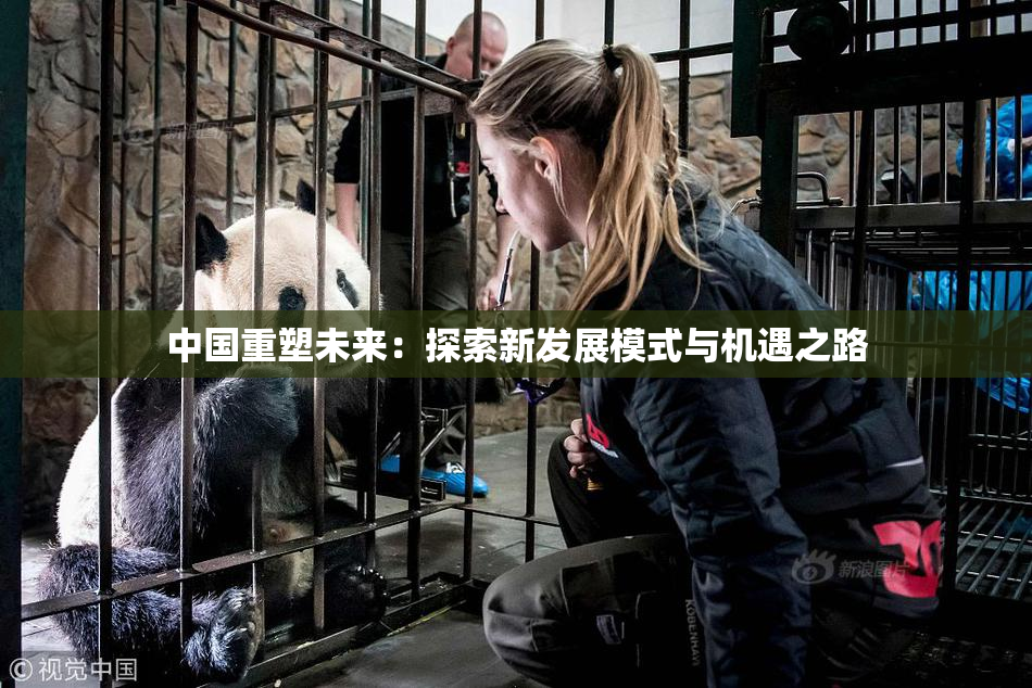 中国重塑未来：探索新发展模式与机遇之路