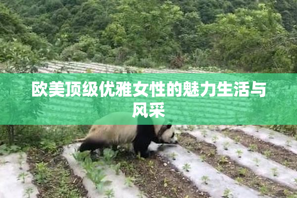 欧美顶级优雅女性的魅力生活与风采
