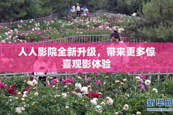 人人影院全新升级，带来更多惊喜观影体验