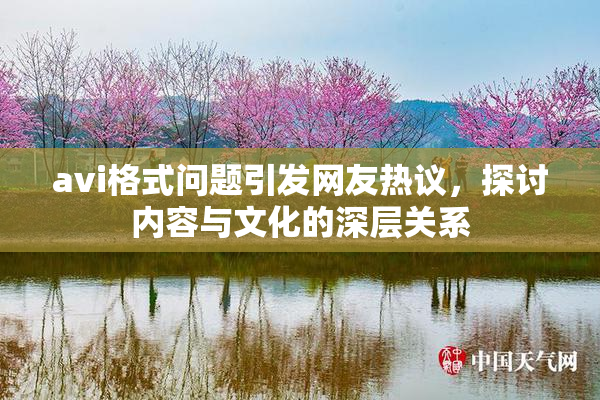 avi格式问题引发网友热议，探讨内容与文化的深层关系