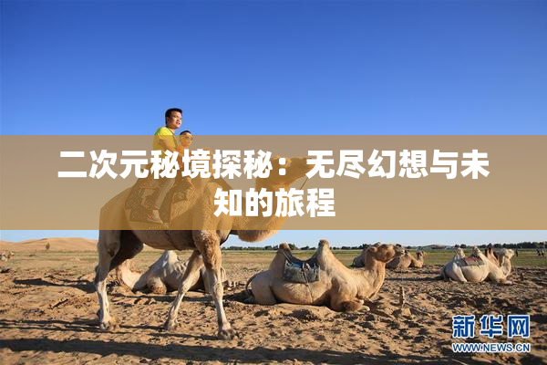 二次元秘境探秘：无尽幻想与未知的旅程