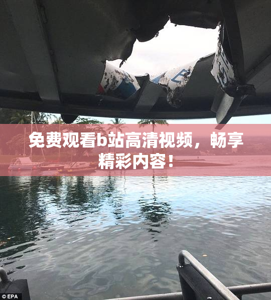 免费观看b站高清视频，畅享精彩内容！