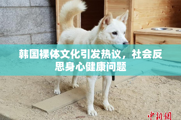 韩国裸体文化引发热议，社会反思身心健康问题