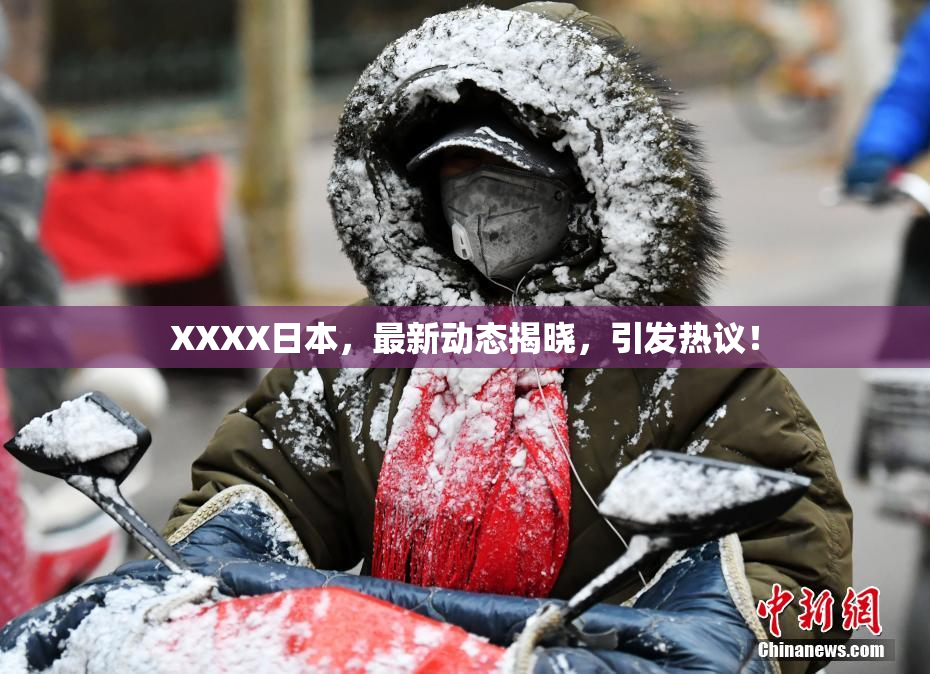 XXXX日本，最新动态揭晓，引发热议！