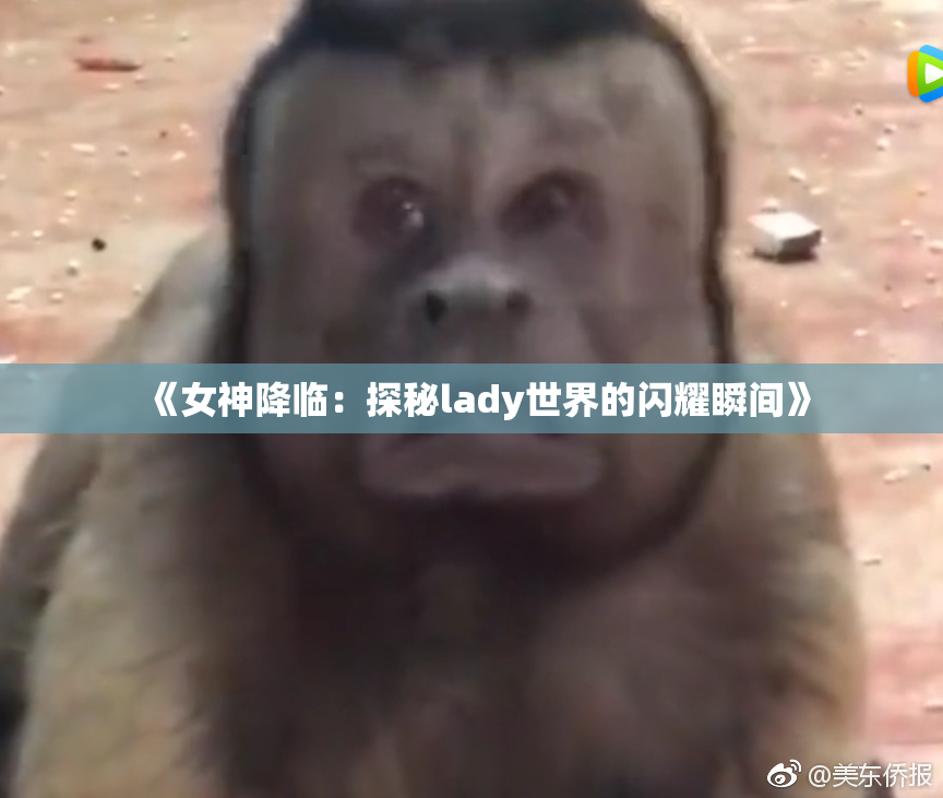 《女神降临：探秘lady世界的闪耀瞬间》
