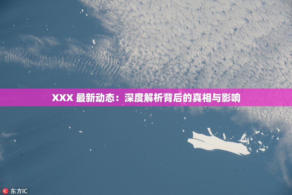 XXX 最新动态：深度解析背后的真相与影响