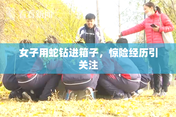 女子用蛇钻进箱子，惊险经历引关注