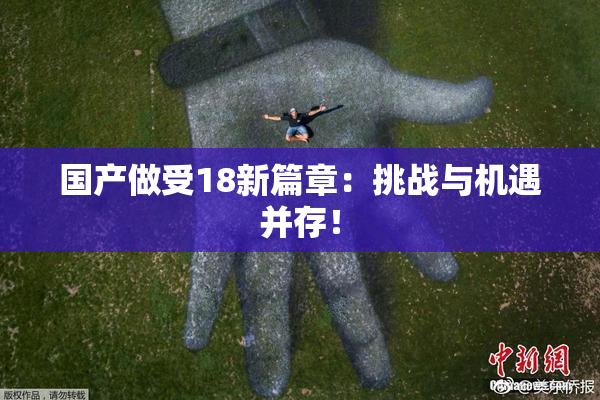国产做受18新篇章：挑战与机遇并存！