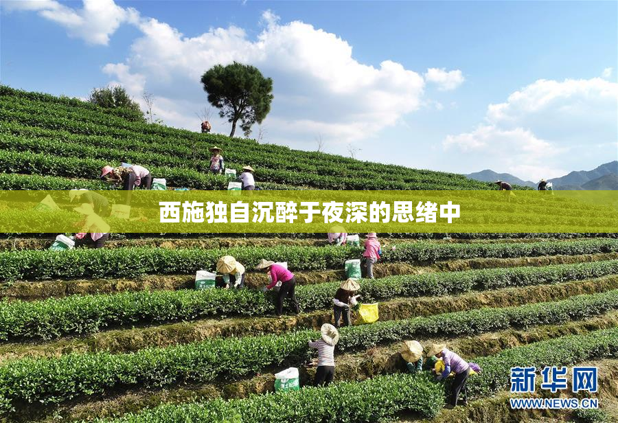 西施独自沉醉于夜深的思绪中