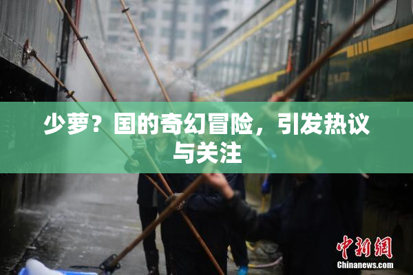 少萝？国的奇幻冒险，引发热议与关注
