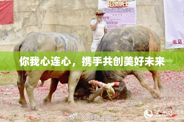 你我心连心，携手共创美好未来