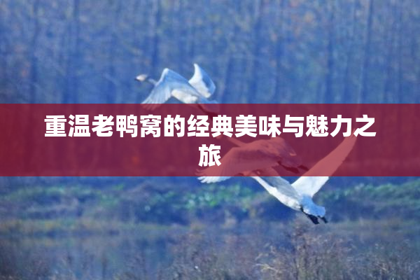 重温老鸭窝的经典美味与魅力之旅