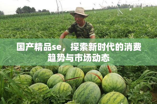 国产精品se，探索新时代的消费趋势与市场动态