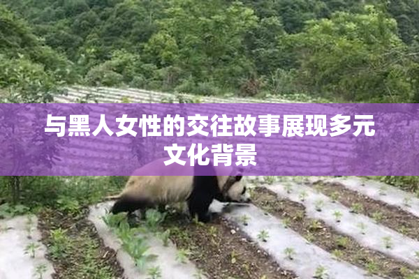 与黑人女性的交往故事展现多元文化背景