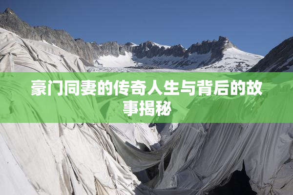 豪门同妻的传奇人生与背后的故事揭秘