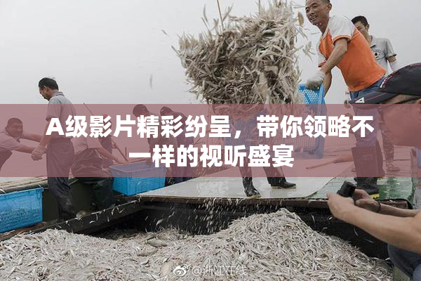 A级影片精彩纷呈，带你领略不一样的视听盛宴