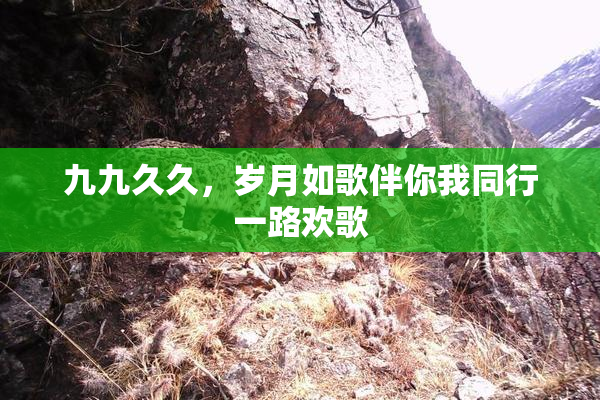 九九久久，岁月如歌伴你我同行一路欢歌